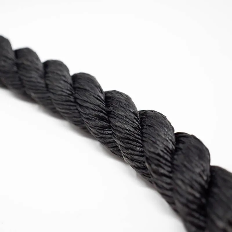 1"" Battle/Conditioning Rope (30), Black