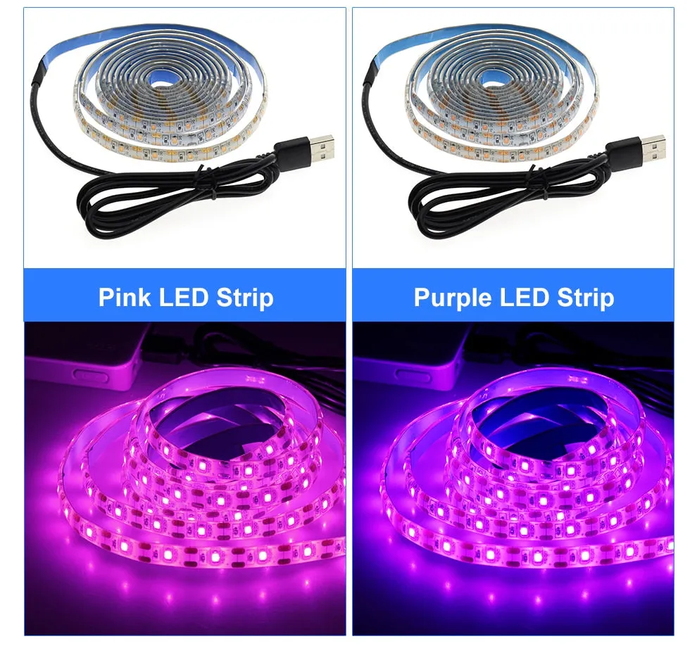 5V LED Strip Light USB 2835 RGB LED Tape 1M 2M 3M Flexible Neon Ribbon for TV Backlight PC Screen Background Lighting