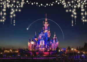 7x5ft Polyester Disney Castle Backdrop Princess Castle Backdrop Night View of Disneyland Photography Washable and Wrinkleless Disney Photo Background
