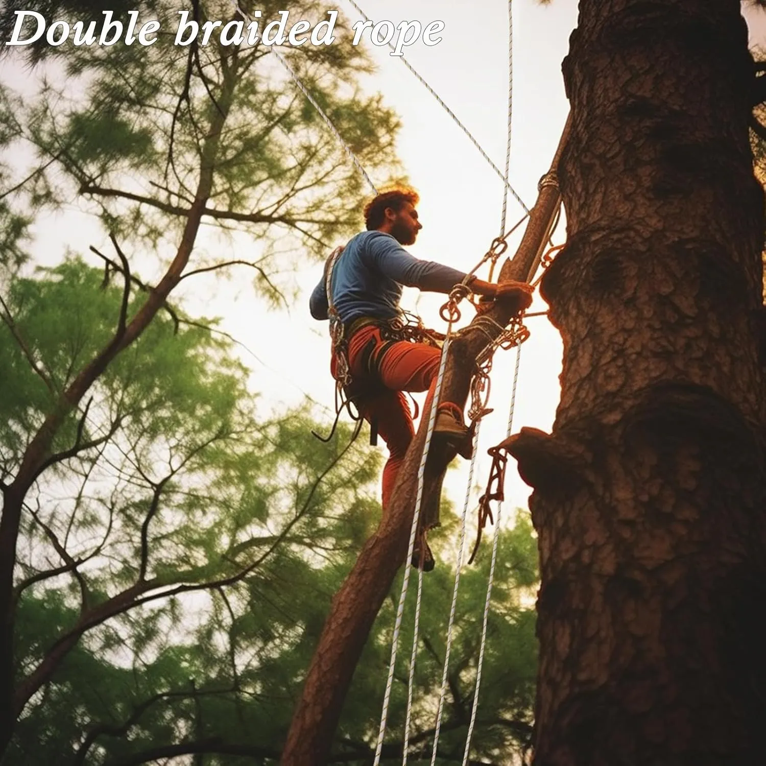 Arborist Rope Climbing Rope 48 Strands Polyester Rope(1/2in x 100 ft) for Climbing Tree Swing Pulling Sailing