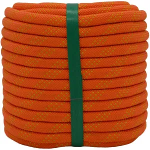 Braided Polyester Arborist Rigging Rope (3/8 inch X 100 feet) High Strength Outdoor Rope for Tree Climbing Hiking Camping Swing, Orange