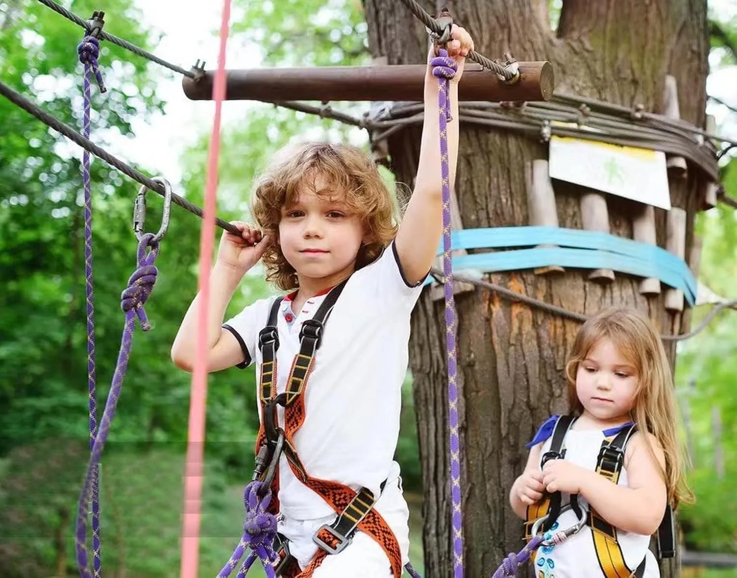 Braided Polyester Arborist Rigging Rope (3/8 inch X 150 feet) High Strength Outdoor Rope for Rock Climbing Hiking Camping Swing, Purple/Green/Orange