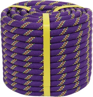 Braided Polyester Arborist Rigging Rope (3/8 inch X 150 feet) High Strength Outdoor Rope for Rock Climbing Hiking Camping Swing, Purple/Green/Orange