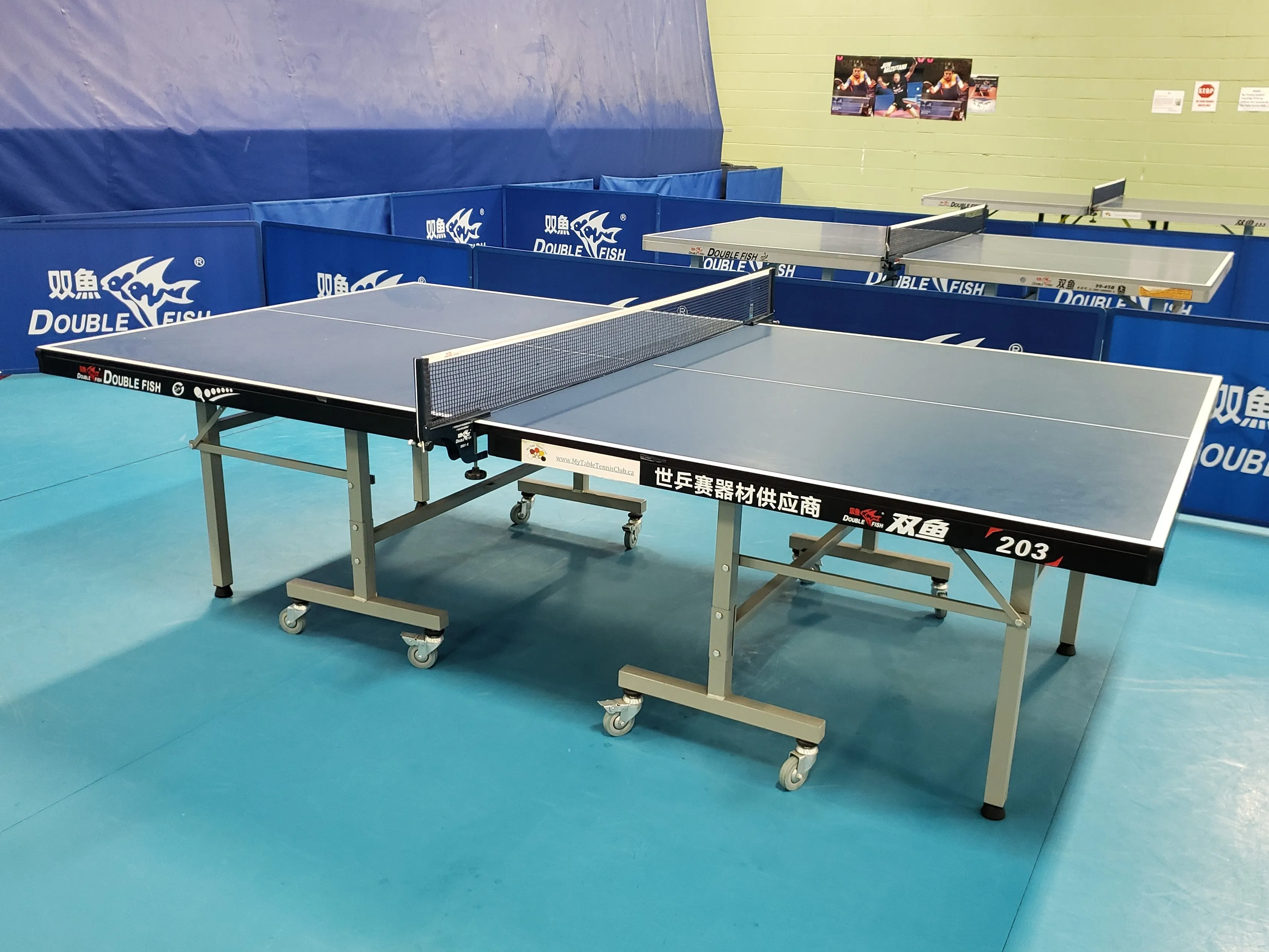 Double Fish 18mm Top Table 203