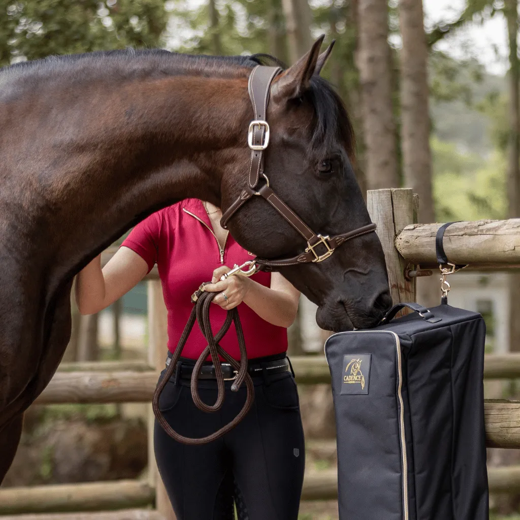 Double-Sided Bridle Bag