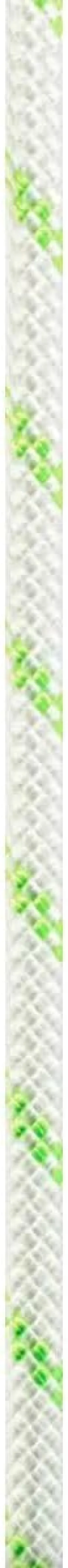 EDELRID Pintail Rope 10mm, Snow, 60m, 713490600470