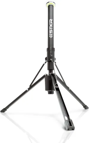 FLI Over-Lander Telescoping Area Light - 10 Foot extention