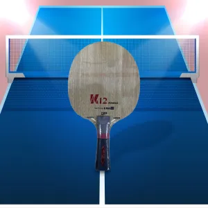 Friendship 729 Advance K12 Energy Table Tennis Ply