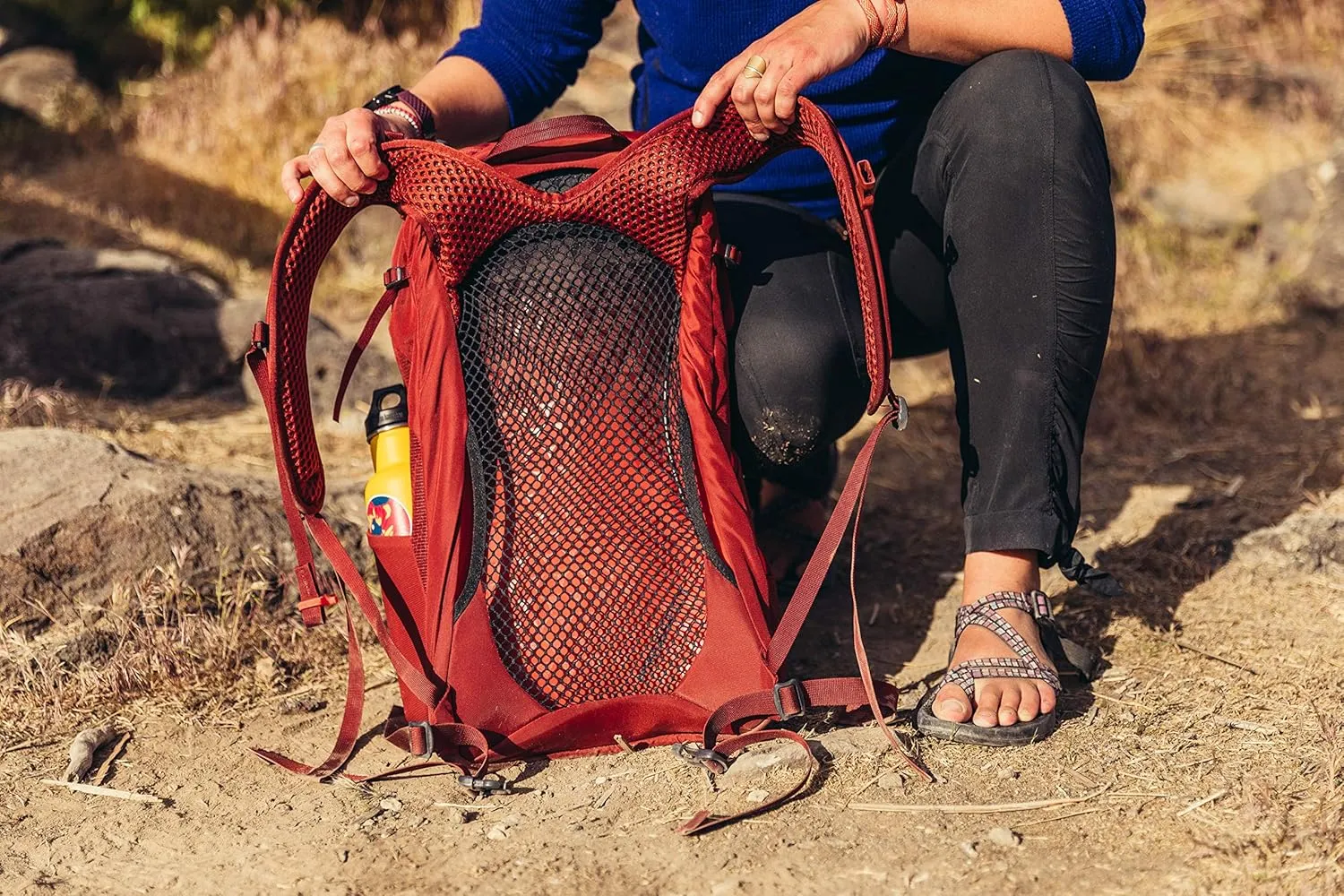 Gregory Arrio 24L Unisex Day Hiking Backpack with Ventilated Backpanel and Built-in Hydration Attachment (Reservoir Not Included), Plus Size, Brick Red