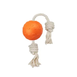 Laroo Ball on Rope Interactive Tug Dog Toy