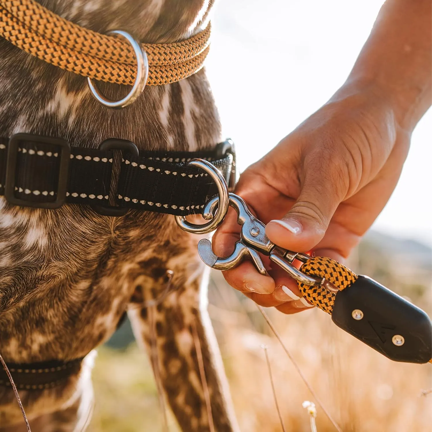 Lifetime Leash by Atlas Pet Company | Ultra Strong Dog Leash Made with Climbing Rope 8FT