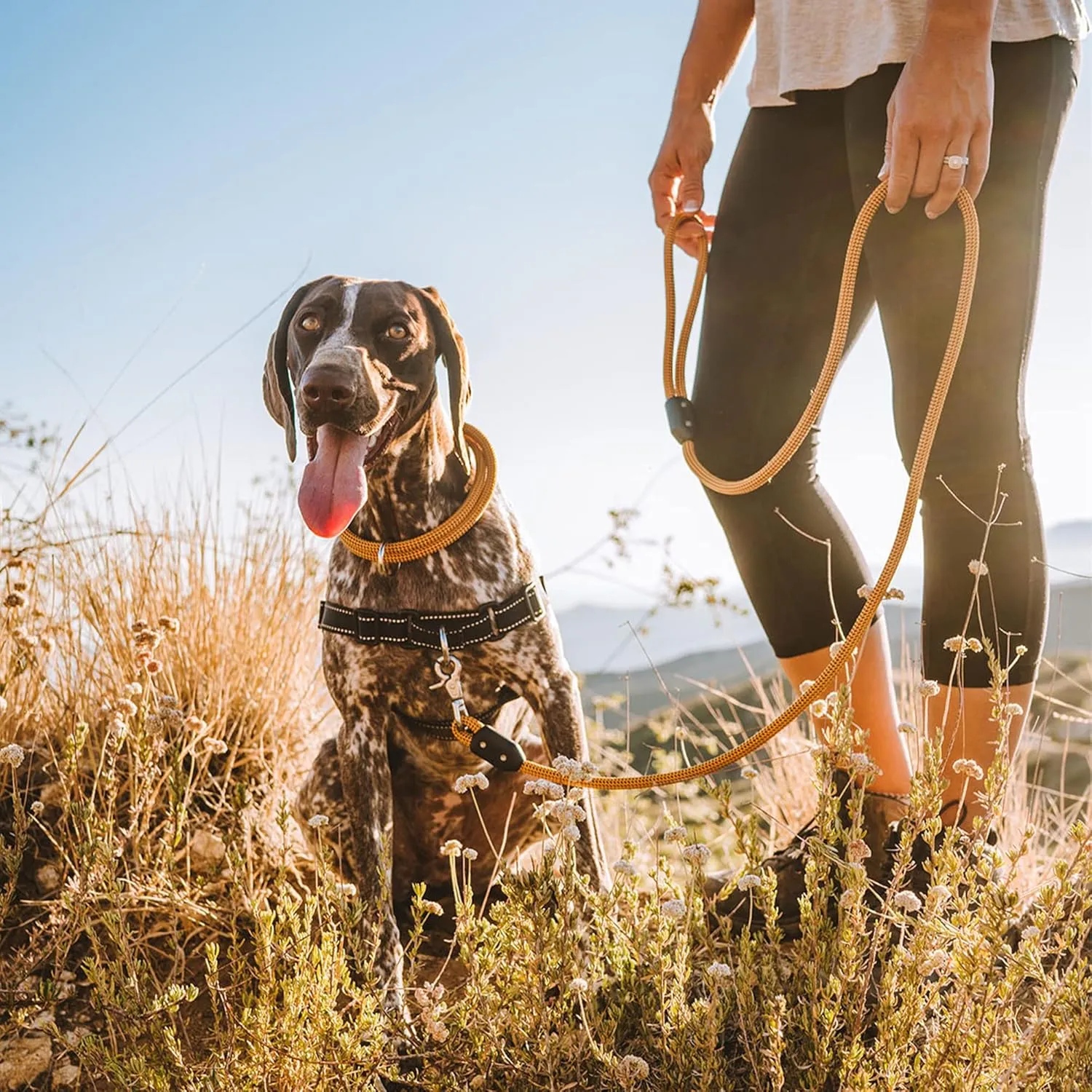Lifetime Leash by Atlas Pet Company | Ultra Strong Dog Leash Made with Climbing Rope 8FT