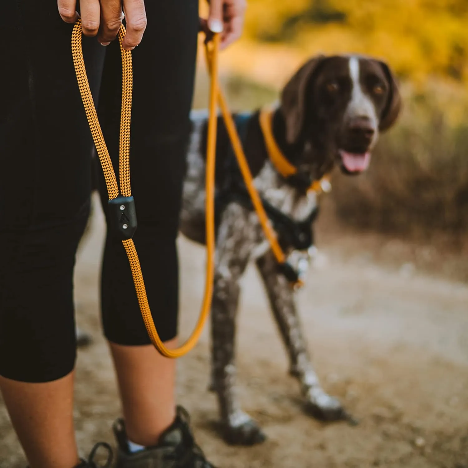 Lifetime Leash by Atlas Pet Company | Ultra Strong Dog Leash Made with Climbing Rope 8FT