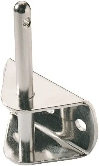 Lightweight Transom Pintle