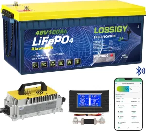 LOSSIGY 48V Lithium Golf Cart Battery with 18A Lithium Charger, 48 Volt 100Ah LiFePO4 Battery, Built in 200A Bluetooth BMS & LCD 10.24kW Output, Peak Current 1000A(3-5s), Prefect for RV Solar System