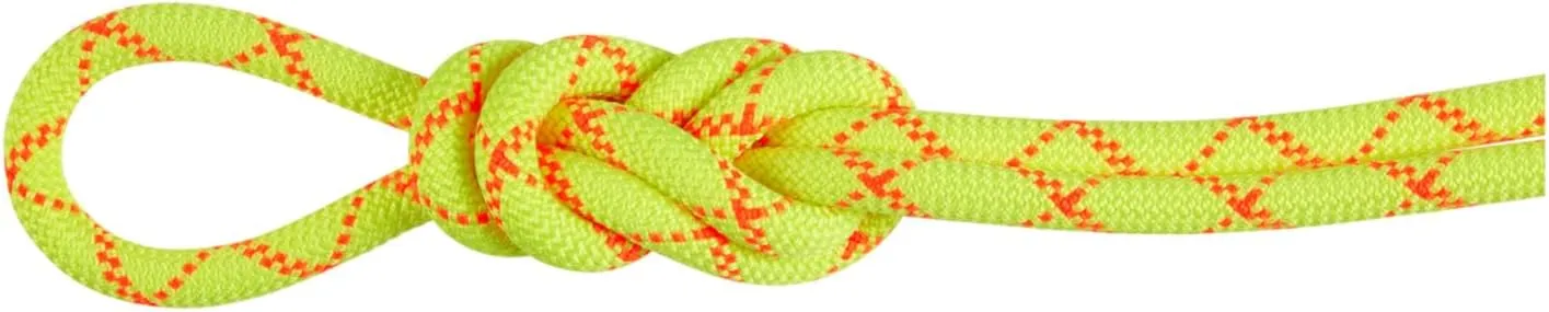 Mammut 9.5 Alpine Core Protect Dry Rope 60 m