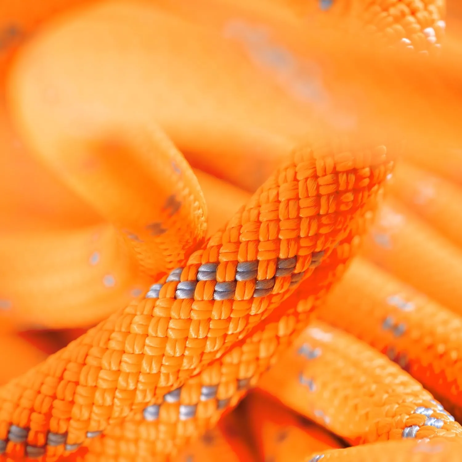 Mammut, Alpine Dry Rope - 9.5mm