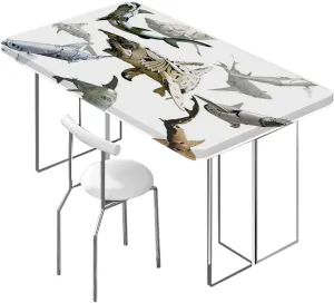 Multicolor Tablecloth Elastic Edge Fitted Various Fish Predators Sea Animals Cartoon Rectangle Table Cloth Reusable Table Cover for Picnic Dining Decoration,for 4 Foot Tables Aqua