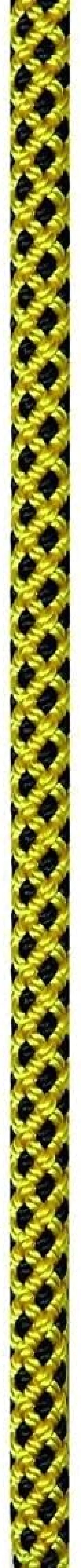 PETZL, Static kernmantle Rope with Good Grip for Work at Height and Technical Rescue, 150 ft, Yellow
