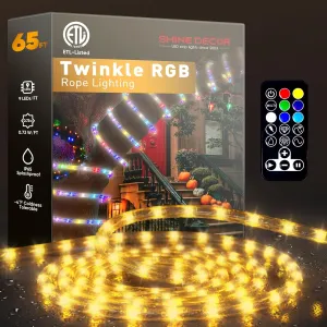 Shine Decor LED Rope Light RGB Twinkle, with 360° Durable Clear Tube Waterproof Cold Resistant for Outdoor, Remote Control Multicolor Festive Christmas Decoration Lights, 65FT Connectable ETL Listed