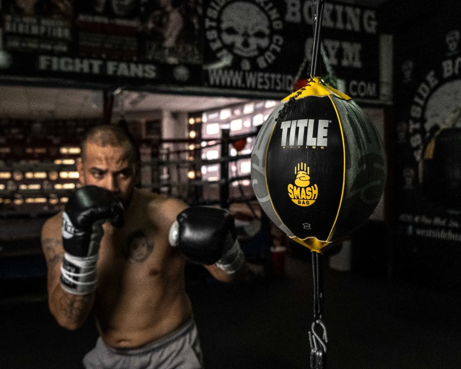 TITLE Boxing Double End Smash Bag